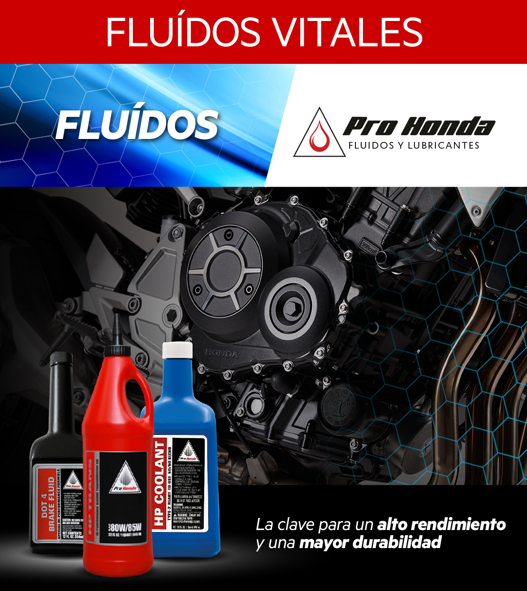 Fluidos Vitales