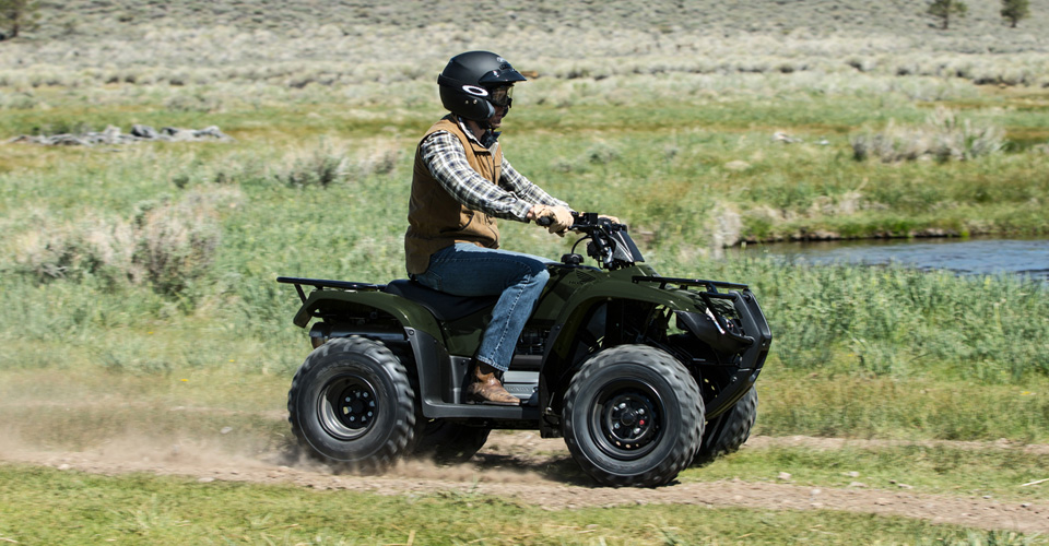 TRX 250 TM